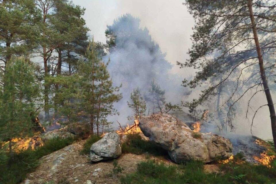 Quels risques d’incendie pour la forêt de Fontainebleau et quels sont les moyens envisagés pour améliorer prévention et interventions ?