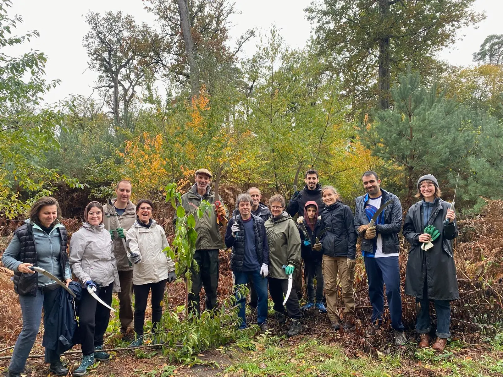 bénévoles en forêt de fontainebleau