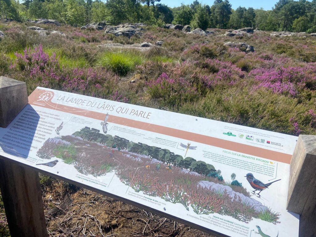 platière et biodiversité