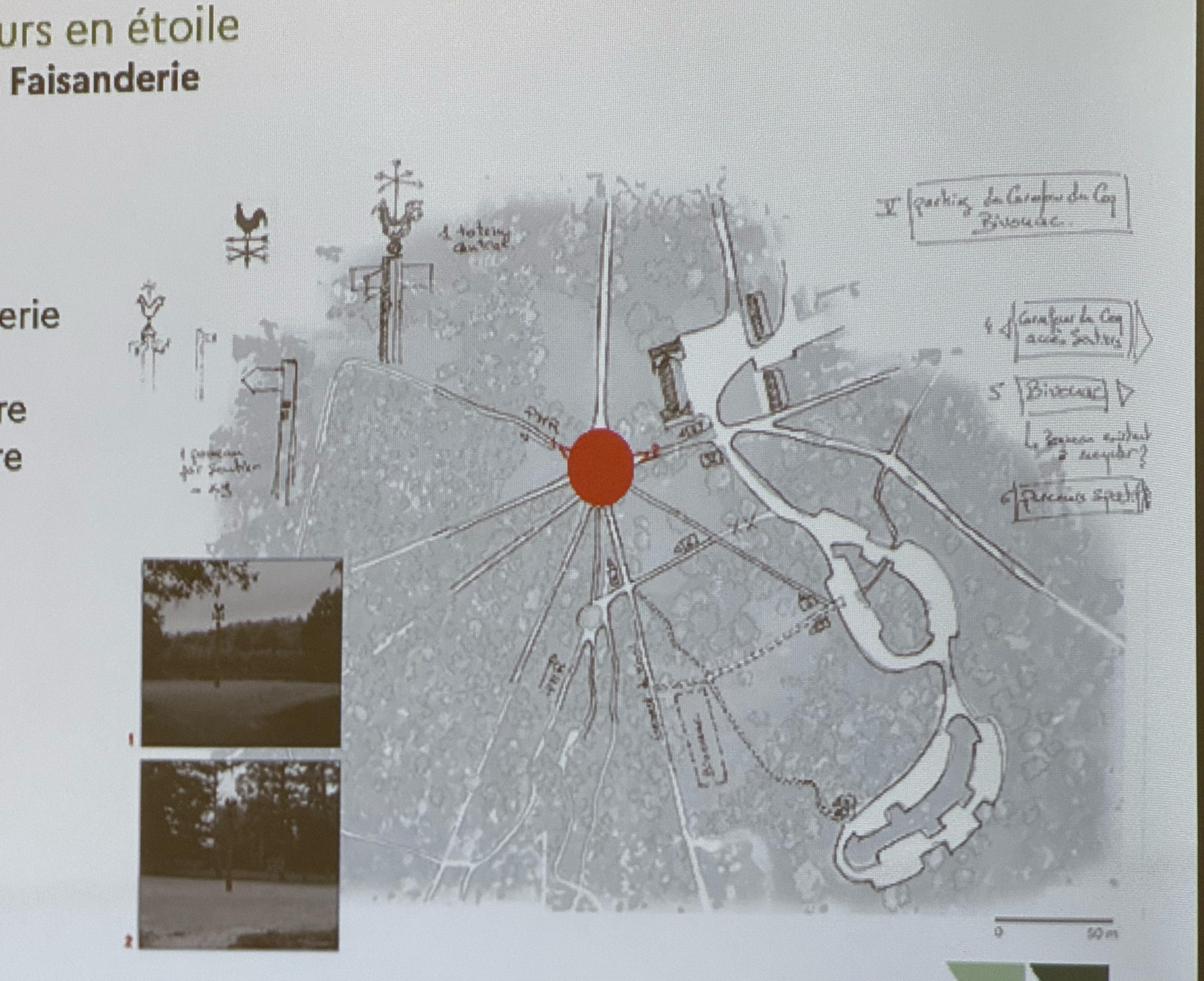 Réaménagement des carrefours de la forêt de Fontainebleau : des projets pour 2027