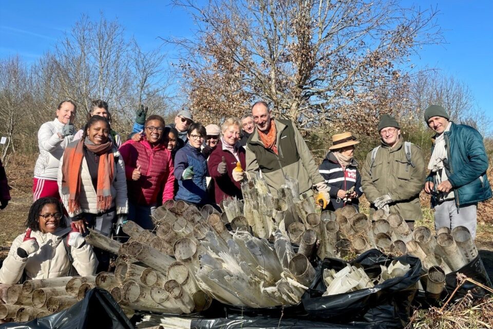 Retour sur le chantier de dépollution plastique en forêt de Fontainebleau