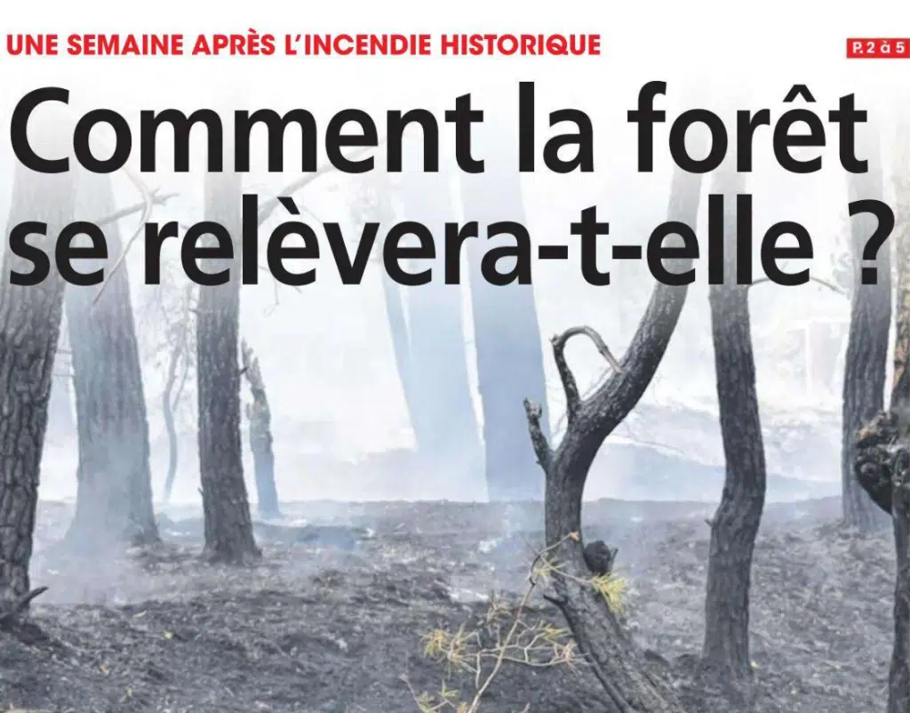 article incendie forêt de fontainebleau