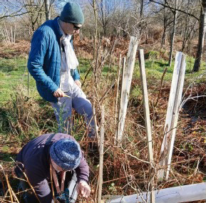 pollution déchets plastique forêt de fontainebleau